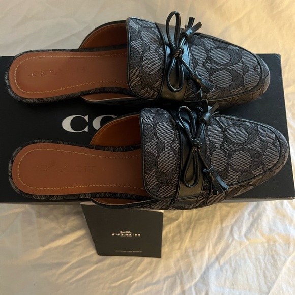 Coach slides - Picture 2 of 10